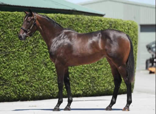 Latest Weekly Listings – Pierata, Shocking and Churchill